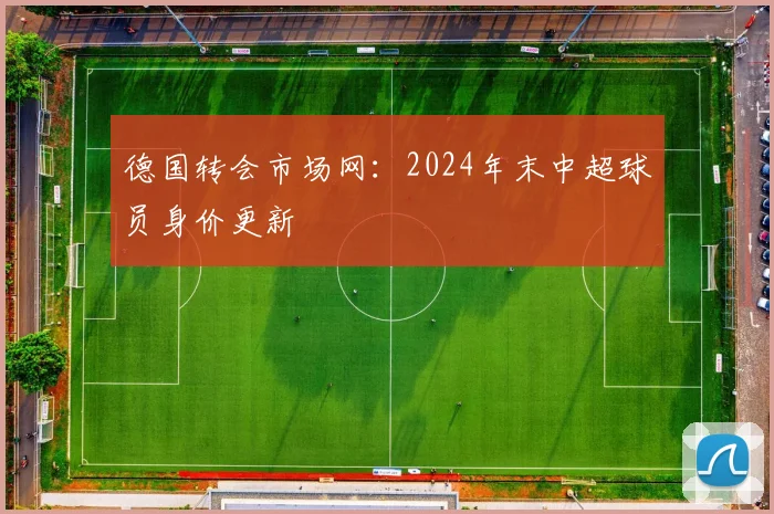 德国转会市场网：2024年末中超球员身价更新