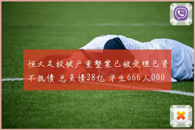恒大足校破产重整案已被受理已资不抵债 总负债28亿 学生666人0000644