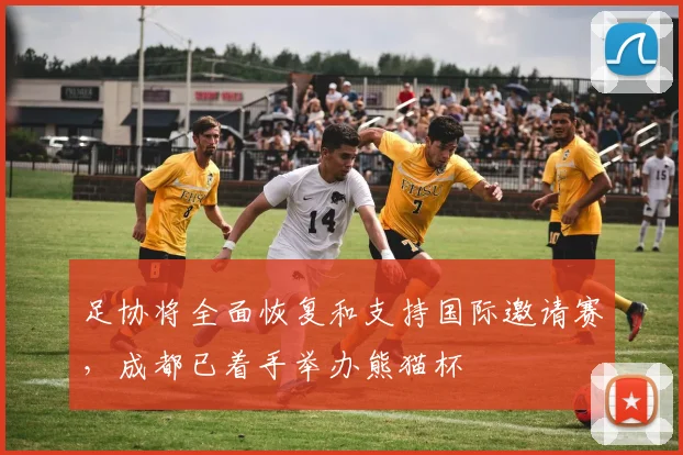 足协将全面恢复和支持国际邀请赛，成都已着手举办熊猫杯