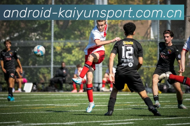 开云体育服务体系